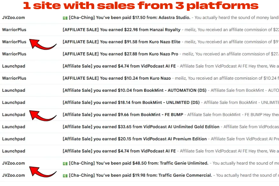 Real affiliate earnings